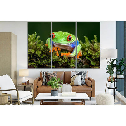 Green Tropical Frog №SL1045 Ready to Hang Canvas Print - Zellart Canvas Prints 0new, ALL_Products, Animals & Wildlife