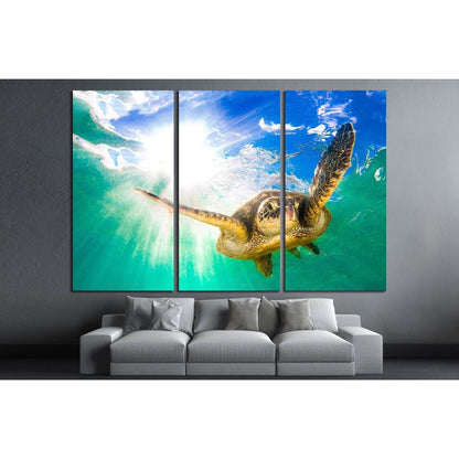 Hawaiian Green Sea Turtle cruising in the warm waters of the Pacific Ocean in Hawaii №2355 Ready to Hang Canvas Print - Zellart Canvas Prints ALL_Products, s-2355