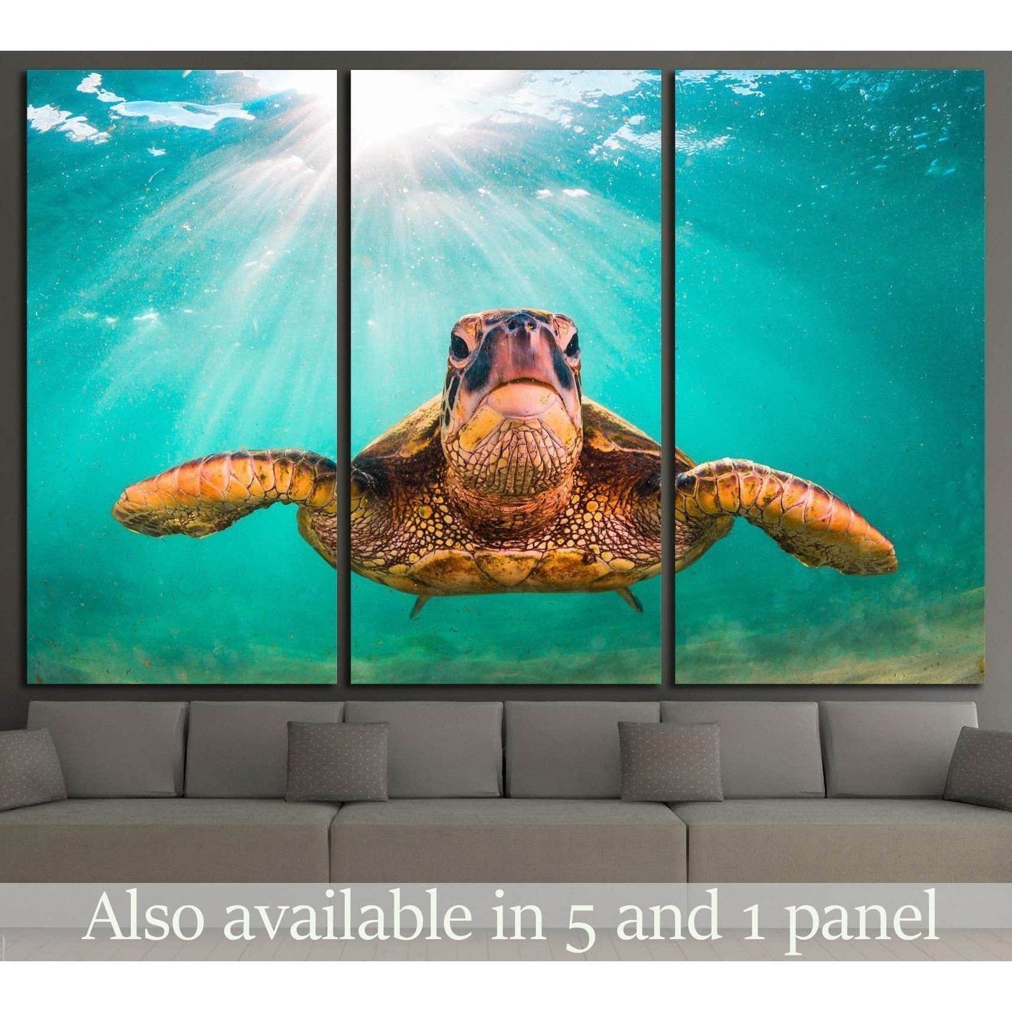 Hawaiian Green Sea Turtle, Pacific Ocean in Hawaii №1859 Ready to Hang Canvas Print - Zellart Canvas Prints ALL_Products, s-1859