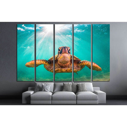 Hawaiian Green Sea Turtle, Pacific Ocean in Hawaii №1859 Ready to Hang Canvas Print - Zellart Canvas Prints ALL_Products, s-1859