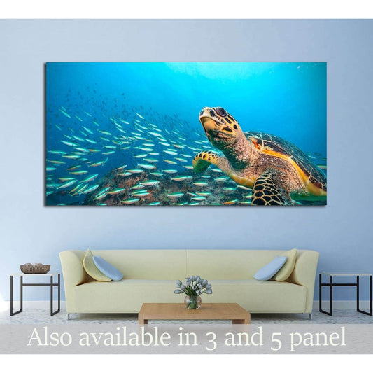 Hawksbill Sea Turtle flowing in Indian ocean, flock of fish on background №2366 Ready to Hang Canvas PrintCanvas art arrives ready to hang, with hanging accessories included and no additional framing required. Every canvas print is hand-crafted, made on-d