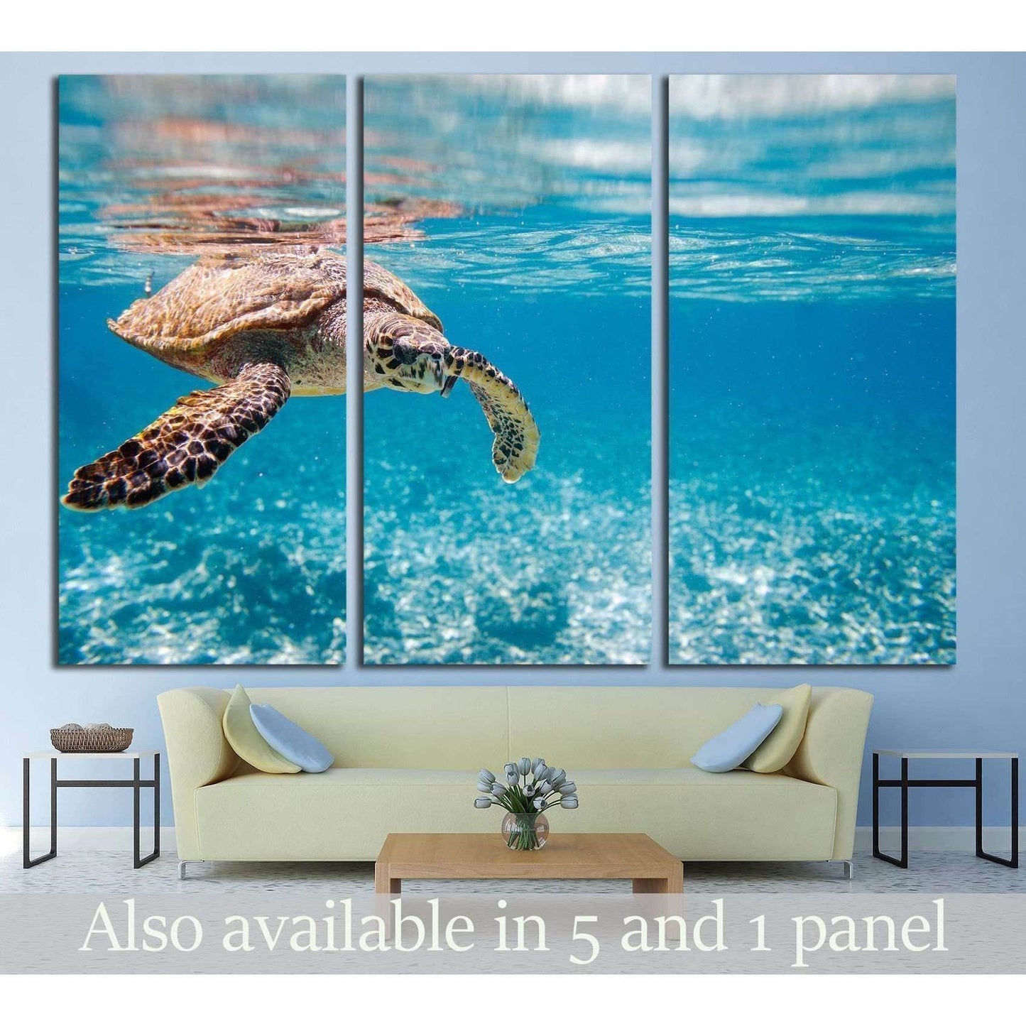 Hawksbill sea turtle swimming in Indian ocean in Seychelles №2336 Ready to Hang Canvas PrintCanvas art arrives ready to hang, with hanging accessories included and no additional framing required. Every canvas print is hand-crafted, made on-demand at our w