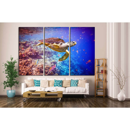 Hawksbill Turtle, Maldives, Ocean coral reef №1398 Ready to Hang Canvas PrintCanvas art arrives ready to hang, with hanging accessories included and no additional framing required. Every canvas print is hand-crafted, made on-demand at our workshop and exp