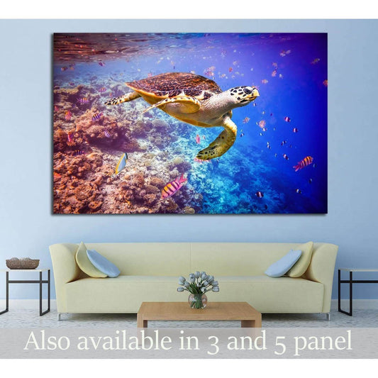 Hawksbill Turtle, Maldives, Ocean coral reef №1398 Ready to Hang Canvas PrintCanvas art arrives ready to hang, with hanging accessories included and no additional framing required. Every canvas print is hand-crafted, made on-demand at our workshop and exp