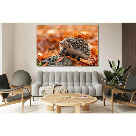 Hedgehog In Autumn Leaves №SL626 Ready to Hang Canvas Print - Zellart Canvas Prints 0new, ALL_Products, Autumn Wall Art
