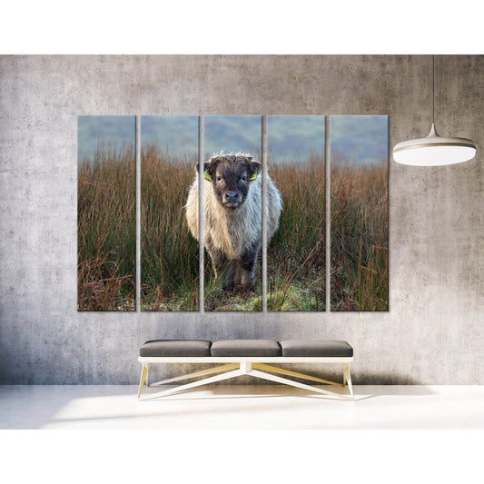 Highland Calf On The Field In Exmoor №04247 Ready to Hang Canvas Print - Zellart Canvas Prints ALL_Products