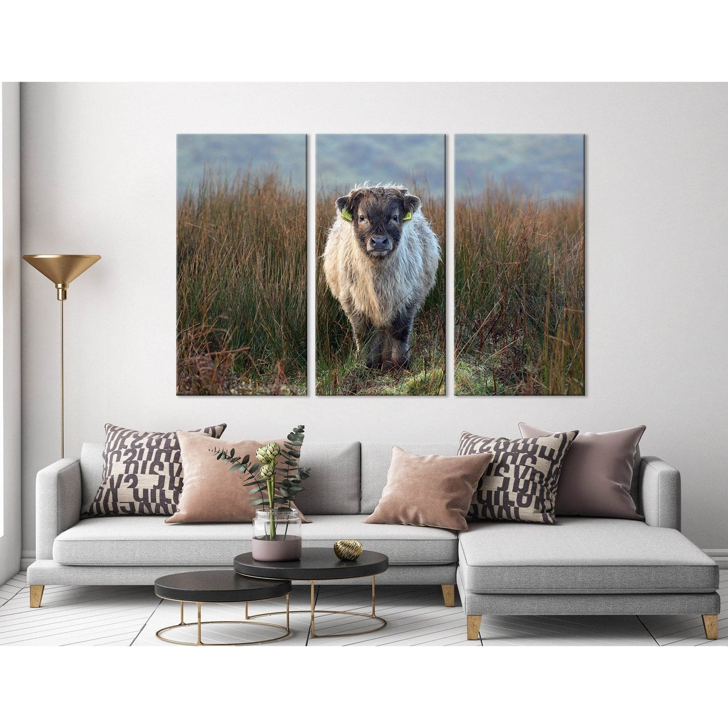 Highland Calf On The Field In Exmoor №04247 Ready to Hang Canvas Print - Zellart Canvas Prints ALL_Products