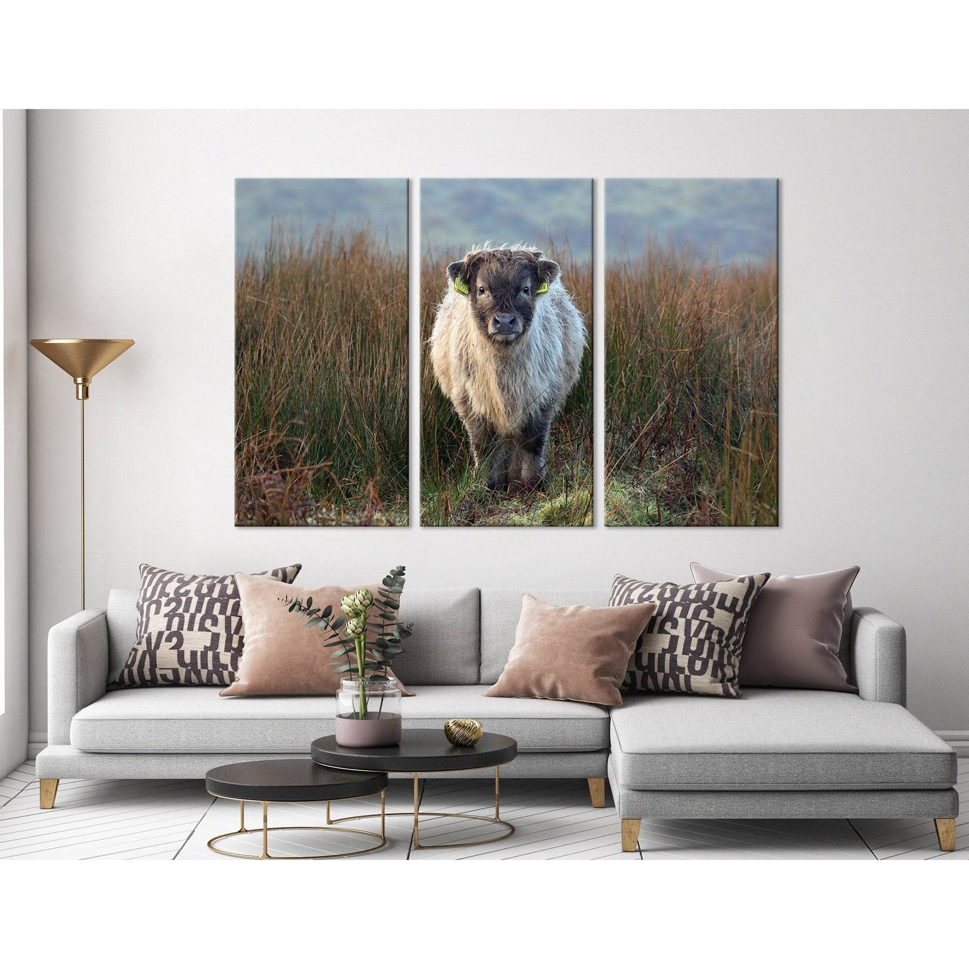 Highland Calf On The Field In Exmoor №04247 Ready to Hang Canvas Print - Zellart Canvas Prints ALL_Products