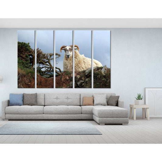Horned Sheep On The Rock №04249 Ready to Hang Canvas Print - Zellart Canvas Prints ALL_Products