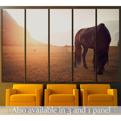 Horse in field №1327 Ready to Hang Canvas Print - Zellart Canvas Prints ALL_Products, Horses, s-1327