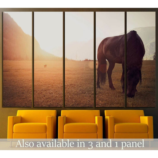 Horse in field №1327 Ready to Hang Canvas Print - Zellart Canvas Prints ALL_Products, Horses, s-1327