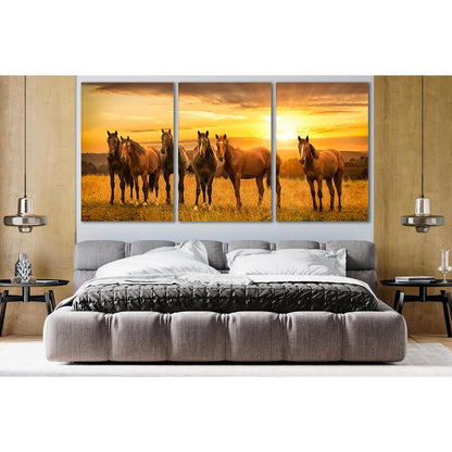 Horses In The Field Sunrise №SL279 Ready to Hang Canvas Print - Zellart Canvas Prints 0new, ALL_Products, Horses, SUNRISE & SUNSET WALL ART