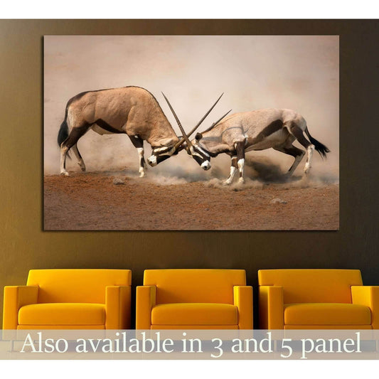 Intense fight between two male Gemsbok on dusty plains of Etosha №1838 Ready to Hang Canvas Print - Zellart Canvas Prints ALL_Products, s-1838