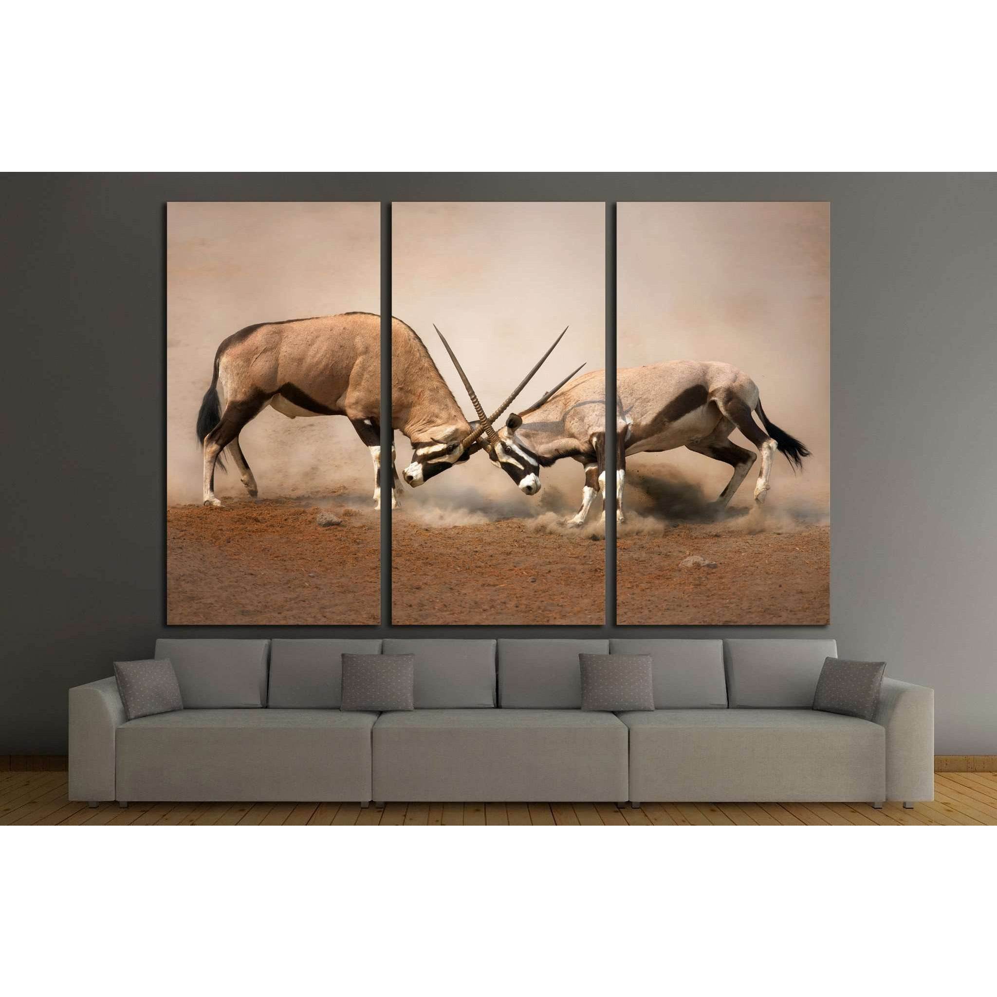 Intense fight between two male Gemsbok on dusty plains of Etosha №1838 Ready to Hang Canvas Print