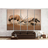 Intense fight between two male Gemsbok on dusty plains of Etosha №1838 Ready to Hang Canvas Print