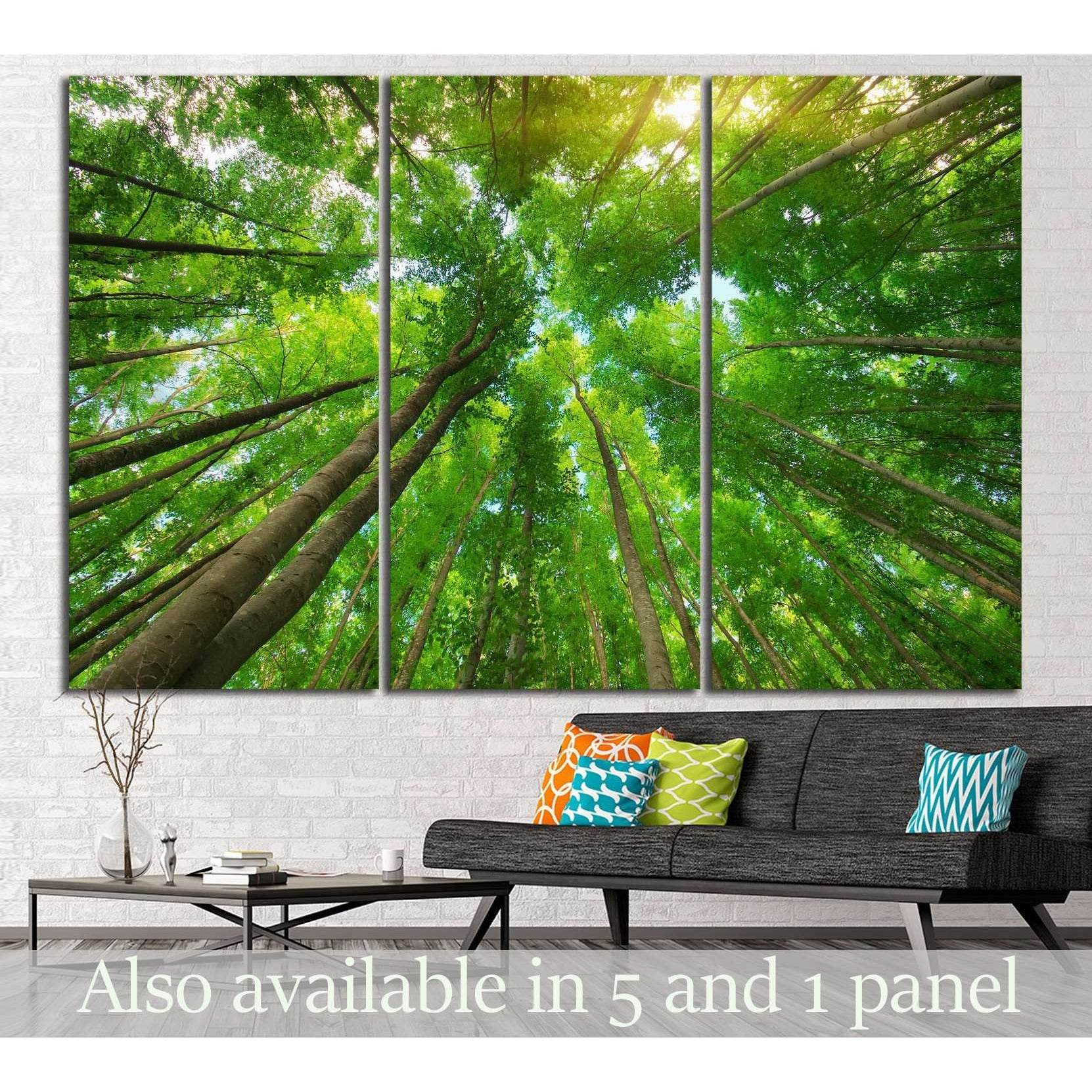 Into the forest №620 Ready to Hang Canvas Print - Zellart Canvas Prints ALL_Products, s-620