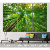 Into the forest №620 Ready to Hang Canvas Print