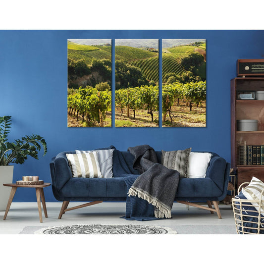 Italian Vineyard №04211 Ready to Hang Canvas Print - Zellart Canvas Prints ALL_Products