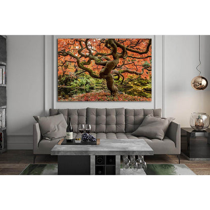 Japanese Maple №SL517 Ready to Hang Canvas Print - Zellart Canvas Prints 0new, ALL_Products, Trees Wall Art