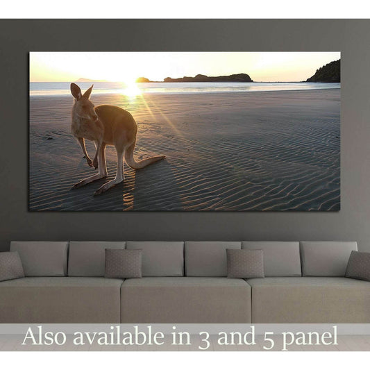 Kangaroo on a beach at Cape Hillsborough in Queensland, Australia №2375 Ready to Hang Canvas Print - Zellart Canvas Prints ALL_Products, s-2375