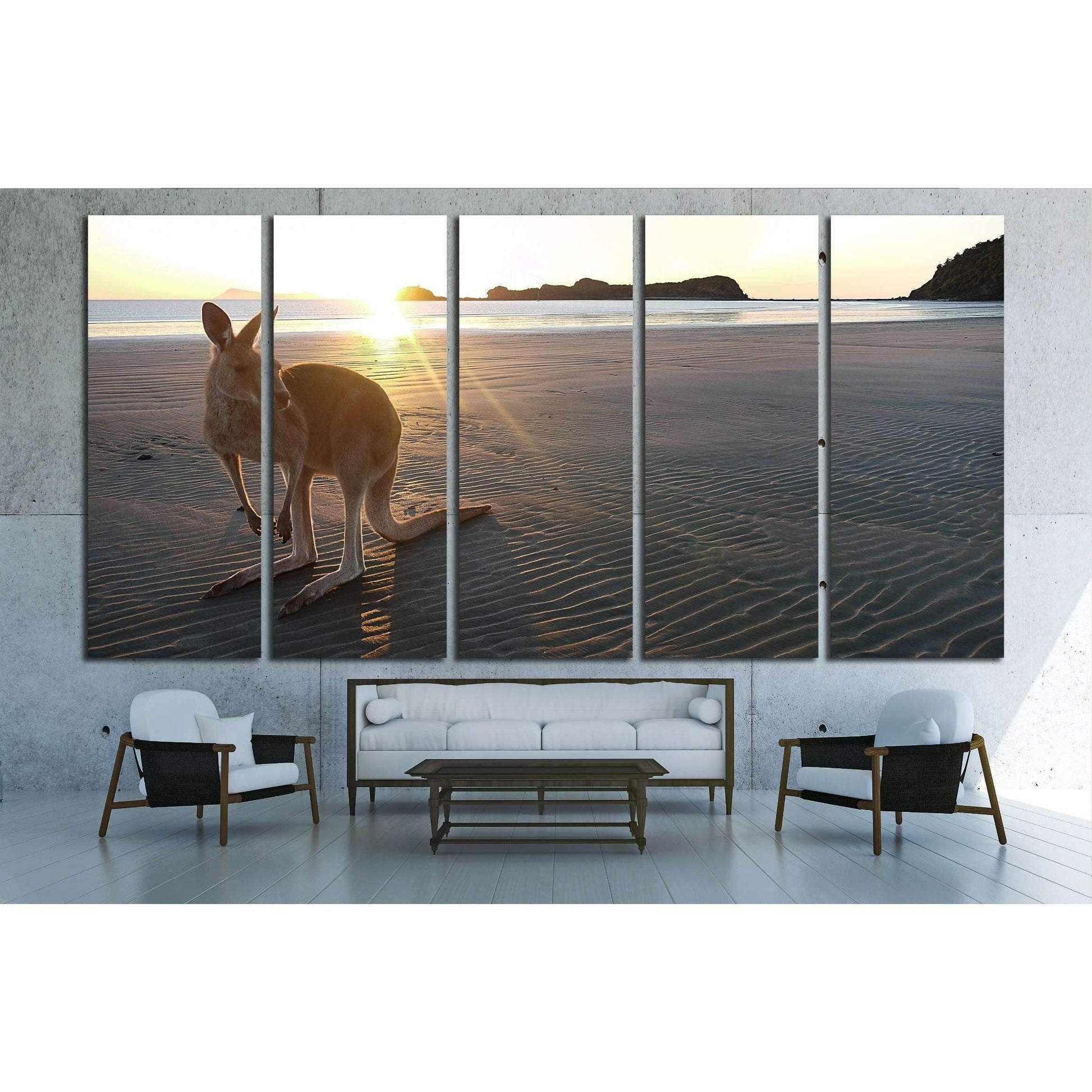 Kangaroo on a beach at Cape Hillsborough in Queensland, Australia №2375 Ready to Hang Canvas PrintCanvas art arrives ready to hang, with hanging accessories included and no additional framing required. Every canvas print is hand-crafted, made on-demand at