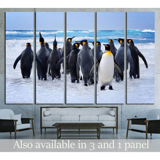 King Penguins heading to the water in the Falkland Islands №1845 Ready to Hang Canvas Print - Zellart Canvas Prints ALL_Products, s-1841