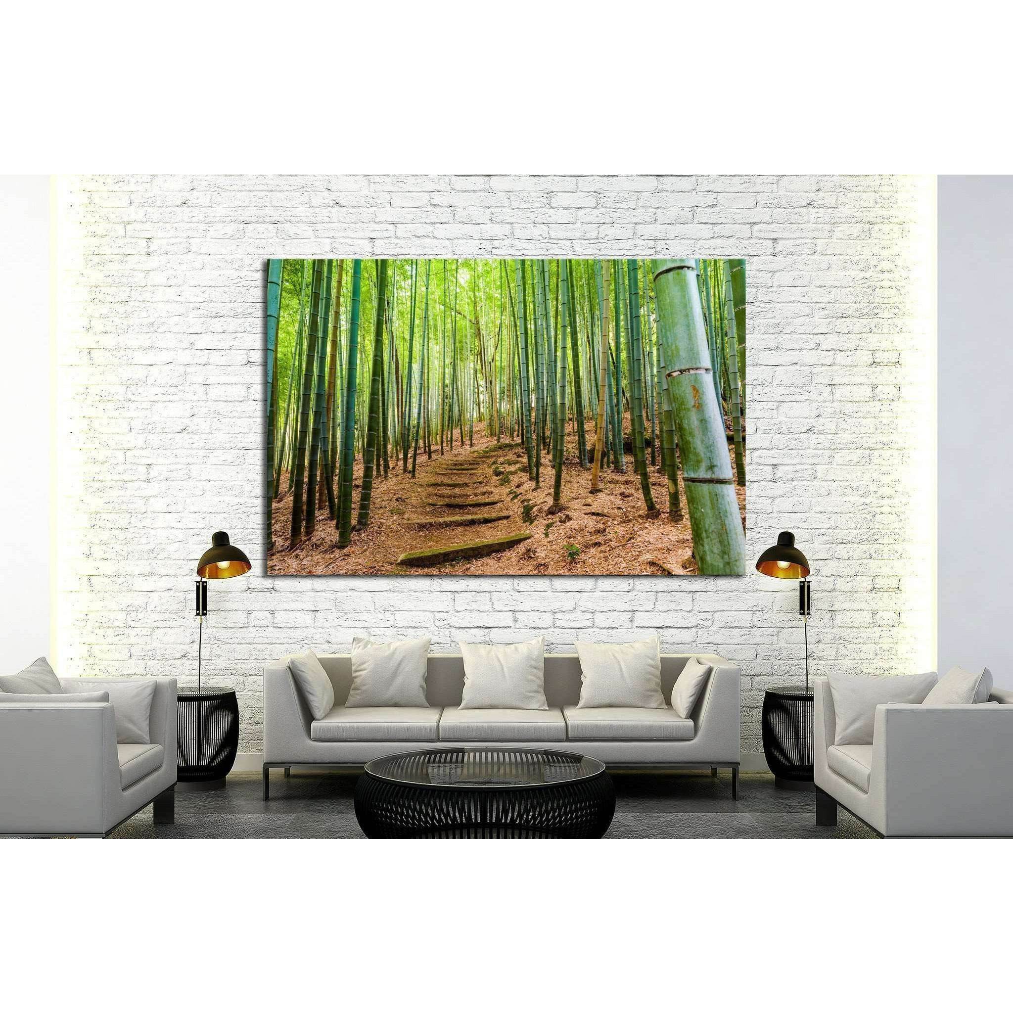 Kyoto, Japan bamboo forest №1987 Ready to Hang Canvas Print