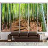 Kyoto, Japan bamboo forest №1987 Ready to Hang Canvas Print