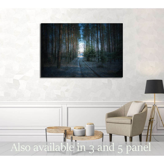 Landscape - forest road in winter time №3103 Ready to Hang Canvas Print - Zellart Canvas Prints ALL_Products, s-3103