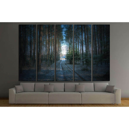 Landscape - forest road in winter time №3103 Ready to Hang Canvas PrintCanvas art arrives ready to hang, with hanging accessories included and no additional framing required. Every canvas print is hand-crafted, made on-demand at our workshop and expertly