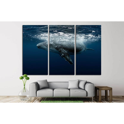 Large Whale №513 Ready to Hang Canvas Print - Zellart Canvas Prints ALL_Products, s-513, Whale