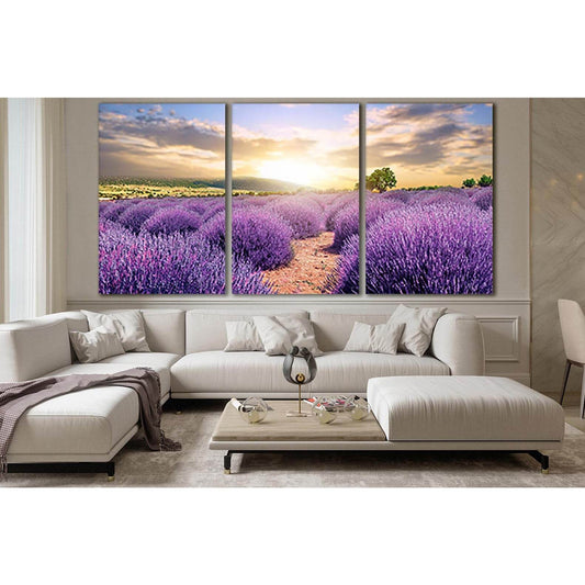 Lavender Field At Sunset №SL669 Ready to Hang Canvas Print - Zellart Canvas Prints 0new, ALL_Products, Floral & Botanical Wall Art