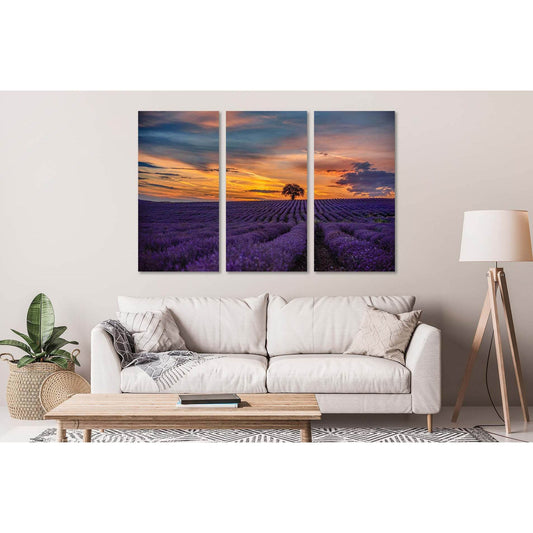 Lavender field in Canada №D2027 Ready to Hang Canvas Print - Zellart Canvas Prints 0new, ALL_Products, Sunrise & sunset wall art
