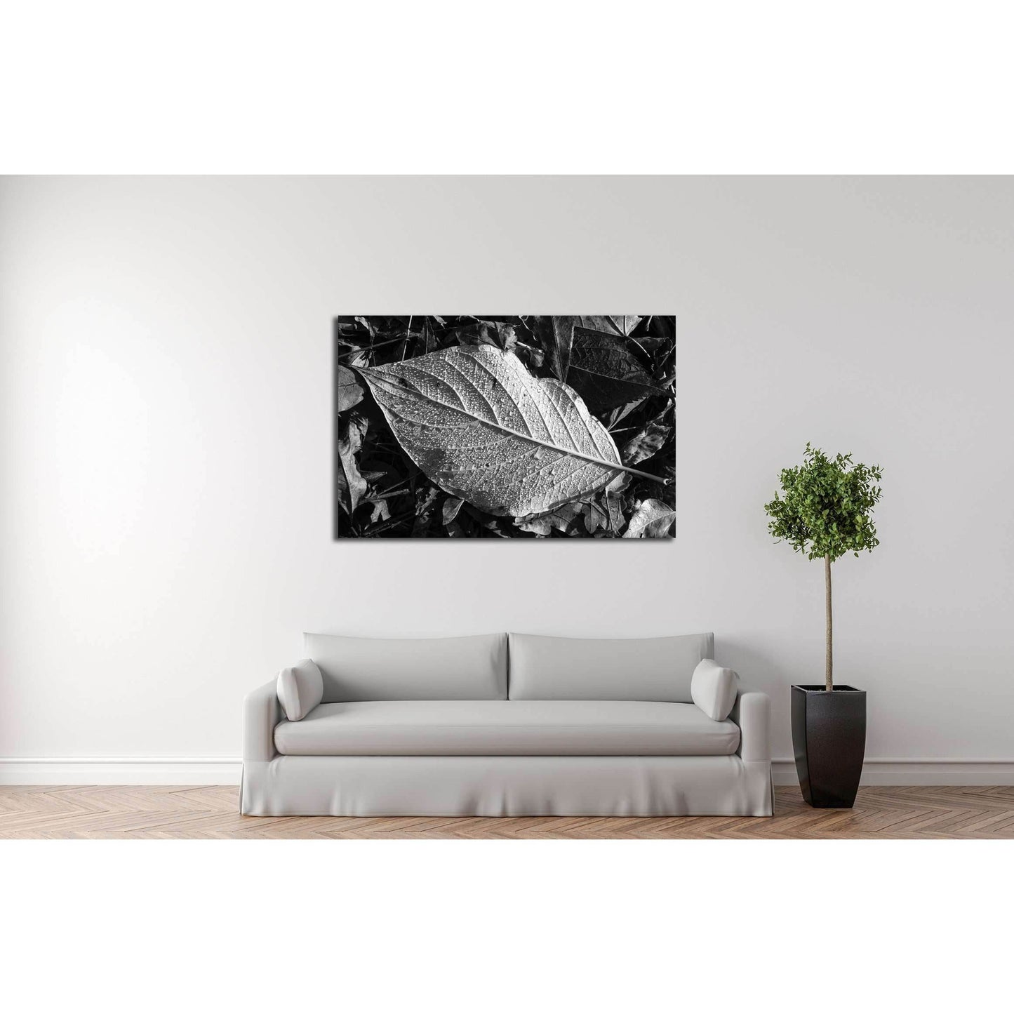Leaf texture, detail, black and white №2838 Ready to Hang Canvas Print - Zellart Canvas Prints ALL_Products, s-2838