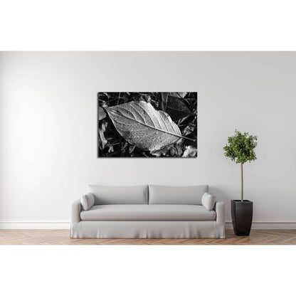 Leaf texture, detail, black and white №2838 Ready to Hang Canvas Print - Zellart Canvas Prints ALL_Products, s-2838