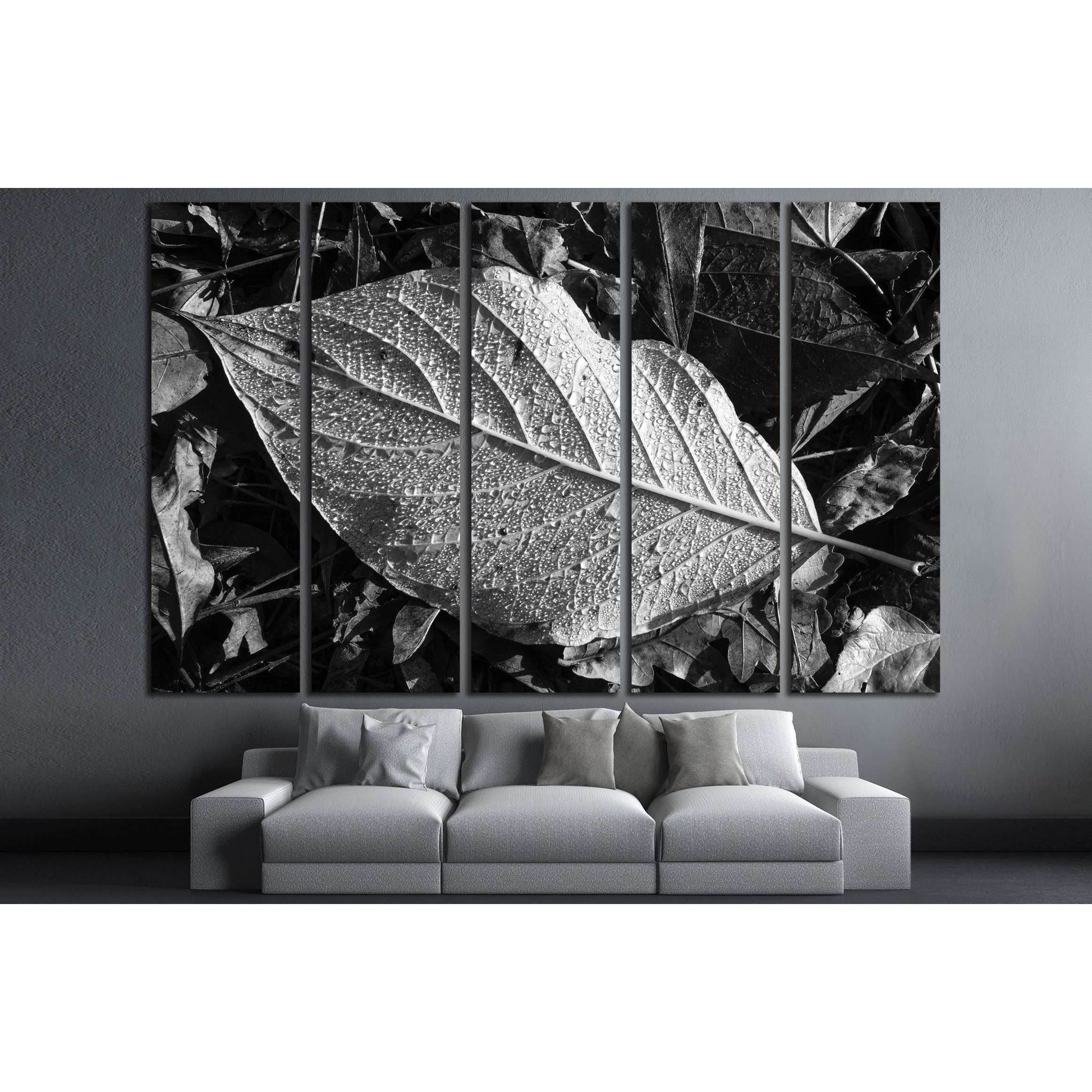 Leaf texture, detail, black and white №2838 Ready to Hang Canvas Print - Zellart Canvas Prints ALL_Products, s-2838