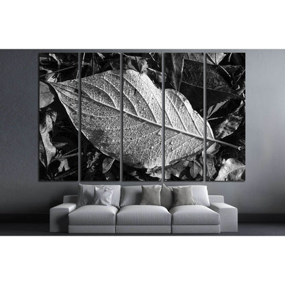 Leaf texture, detail, black and white №2838 Ready to Hang Canvas Print - Zellart Canvas Prints ALL_Products, s-2838