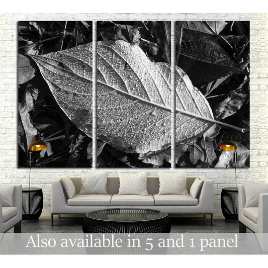 Leaf texture, detail, black and white №2838 Ready to Hang Canvas Print - Zellart Canvas Prints ALL_Products, s-2838