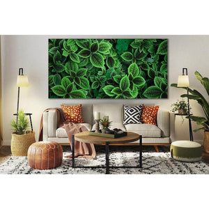 Leaves Plant Close Up №SL693 Ready to Hang Canvas Print - Zellart Canvas Prints 0new, ALL_Products, Floral & Botanical Wall Art