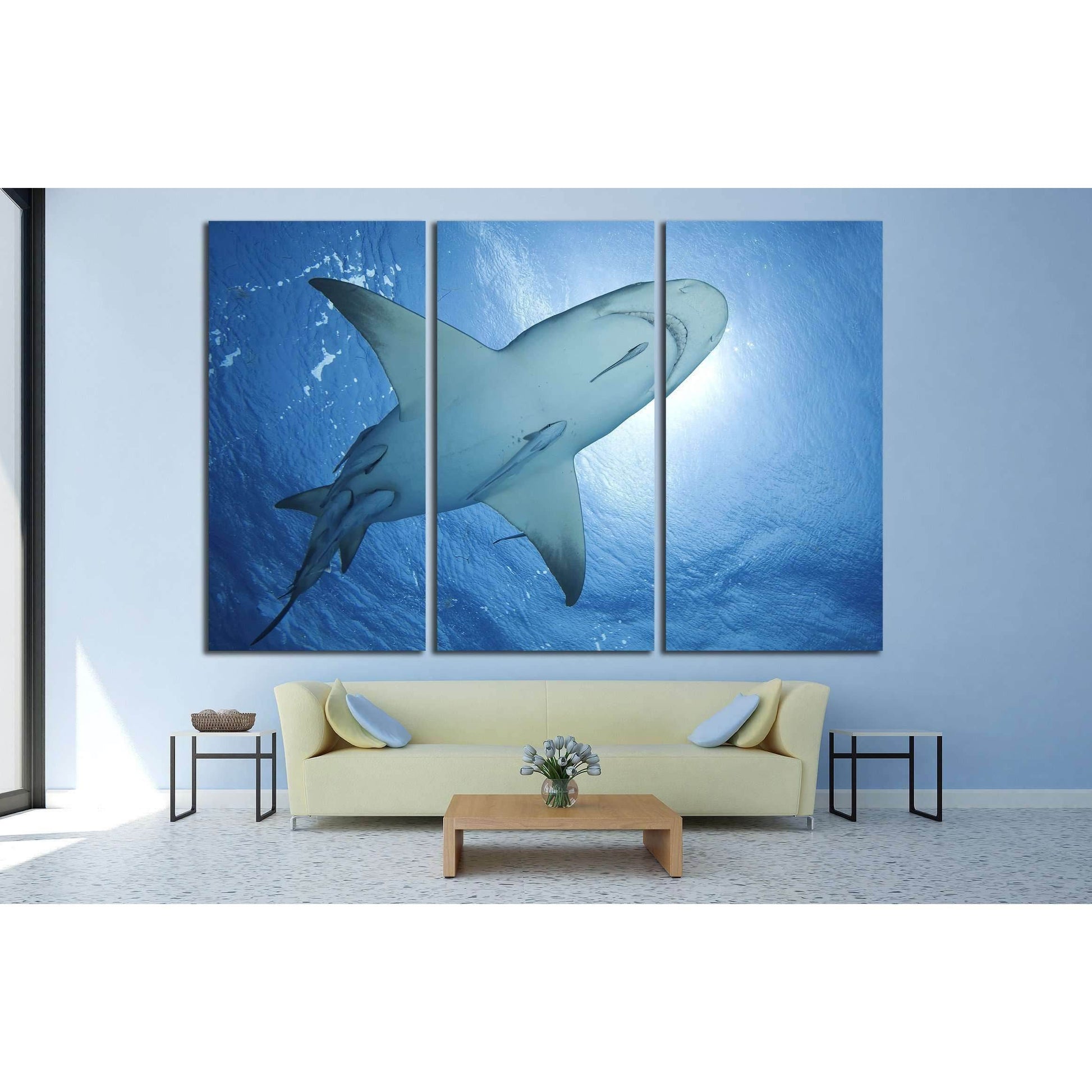 LEMON SHARK WITH REMORA SWIMMING AT THE SURFACE OF BAHAMAS №2358 Ready to Hang Canvas PrintCanvas art arrives ready to hang, with hanging accessories included and no additional framing required. Every canvas print is hand-crafted, made on-demand at our wo