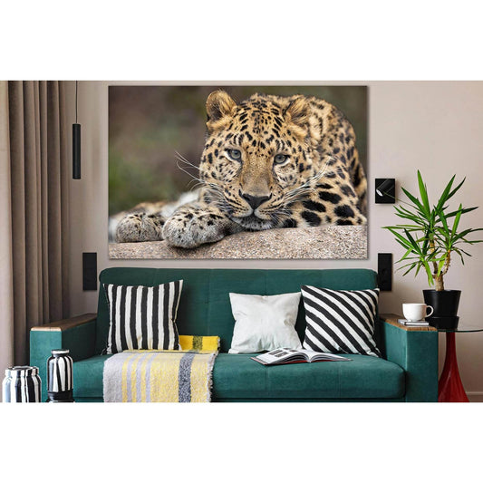 Leopard Portrait №SL1019 Ready to Hang Canvas Print - Zellart Canvas Prints 0new, ALL_Products, Animals & Wildlife