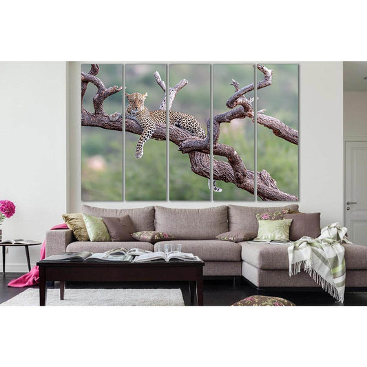 Leopard Resting On Tree №SL1004 Ready to Hang Canvas Print - Zellart Canvas Prints 0new, ALL_Products, Animals & Wildlife