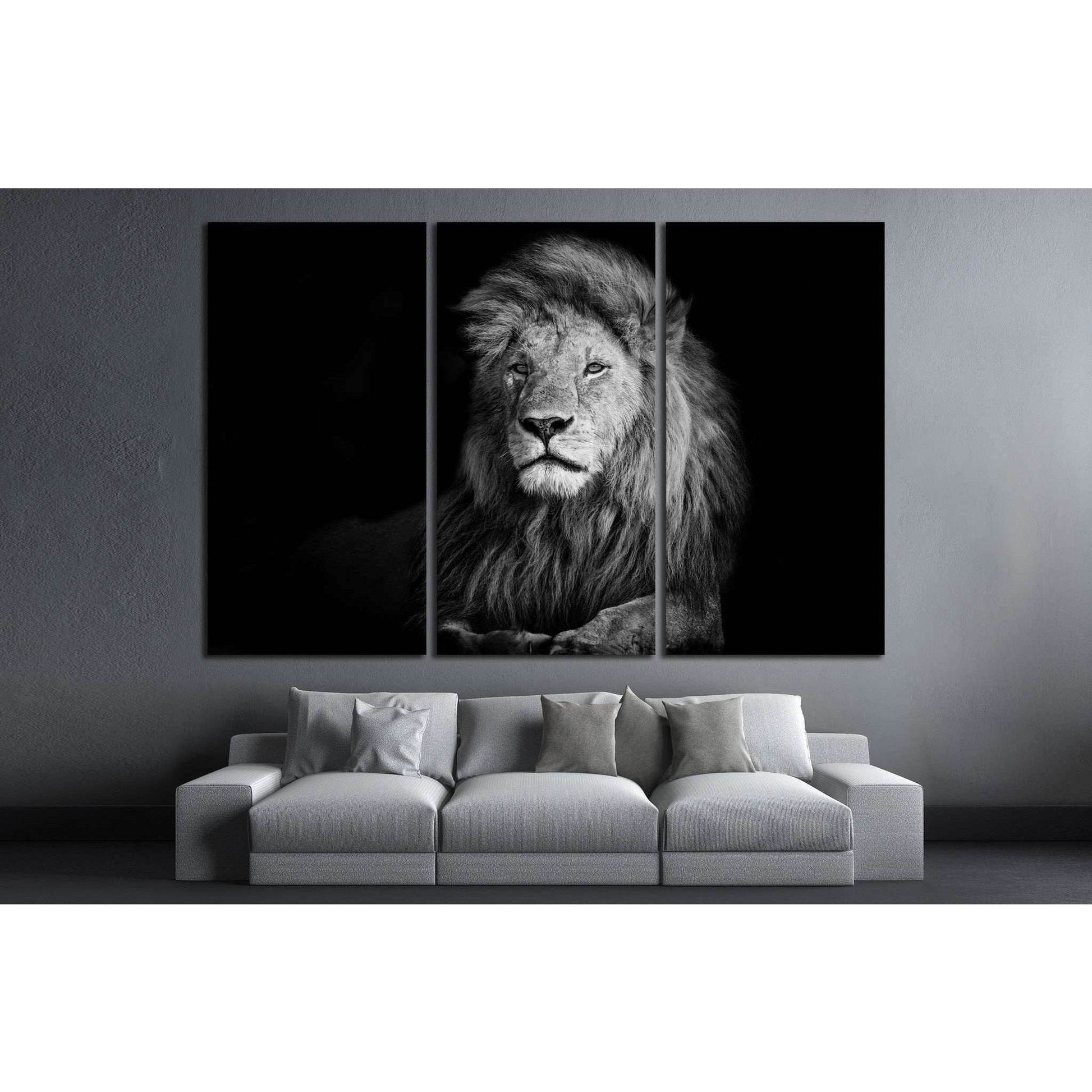 Lion №188 Ready to Hang Canvas Print - Zellart Canvas Prints ALL_Products, Lion, wd-188
