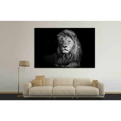 Lion №188 Ready to Hang Canvas Print - Zellart Canvas Prints ALL_Products, Lion, wd-188