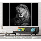 Lion №188 Ready to Hang Canvas Print