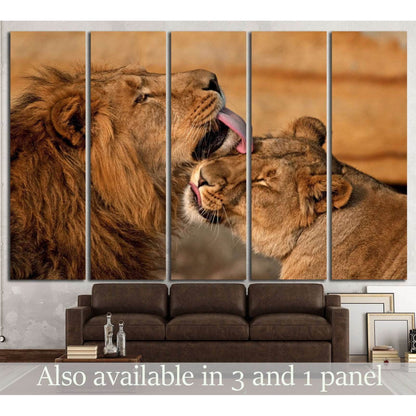 lion, panthera leo №1332 Ready to Hang Canvas Print - Zellart Canvas Prints ALL_Products, Lion, s-1332