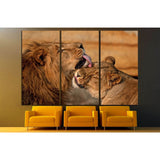 lion, panthera leo №1332 Ready to Hang Canvas Print