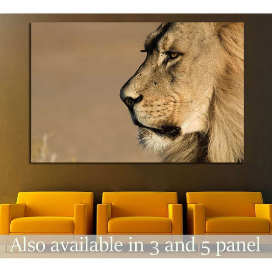 Lion Stare Head shot №1851 Ready to Hang Canvas Print - Zellart Canvas Prints ALL_Products, Lion, s-1851