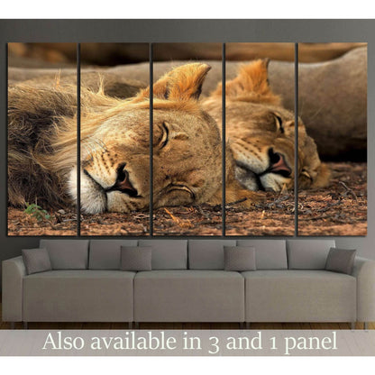 Lion Tandem №1112 Ready to Hang Canvas Print - Zellart Canvas Prints ALL_Products, Lion, s-1112