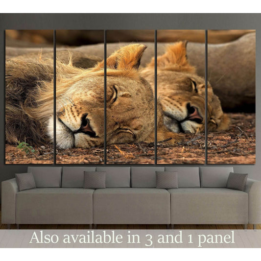 Lion Tandem №1112 Ready to Hang Canvas Print - Zellart Canvas Prints ALL_Products, Lion, s-1112